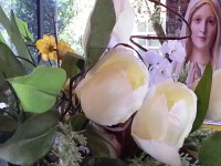 /album/fotografias-comparativas/note-2-b-jpg/